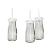 Botella matt de cristal con pajita 220 ml. (13,5 cm.)